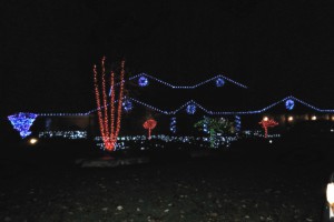 Christmas lights Installation
